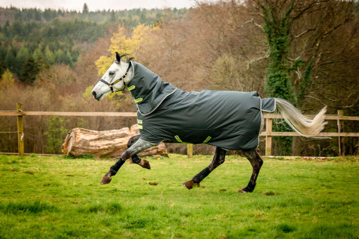 Horseware AMIGO Outdoordecke Hero Ripstop Plus 100 g